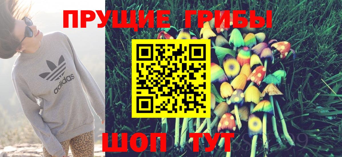 Псилоцибиновые грибы ЛСД Елец