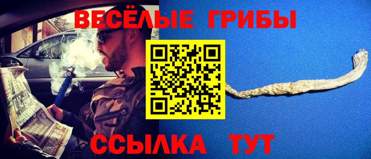 Галлюциногенные грибы Psilocybine cubensis  Вход с VPN  Елец 